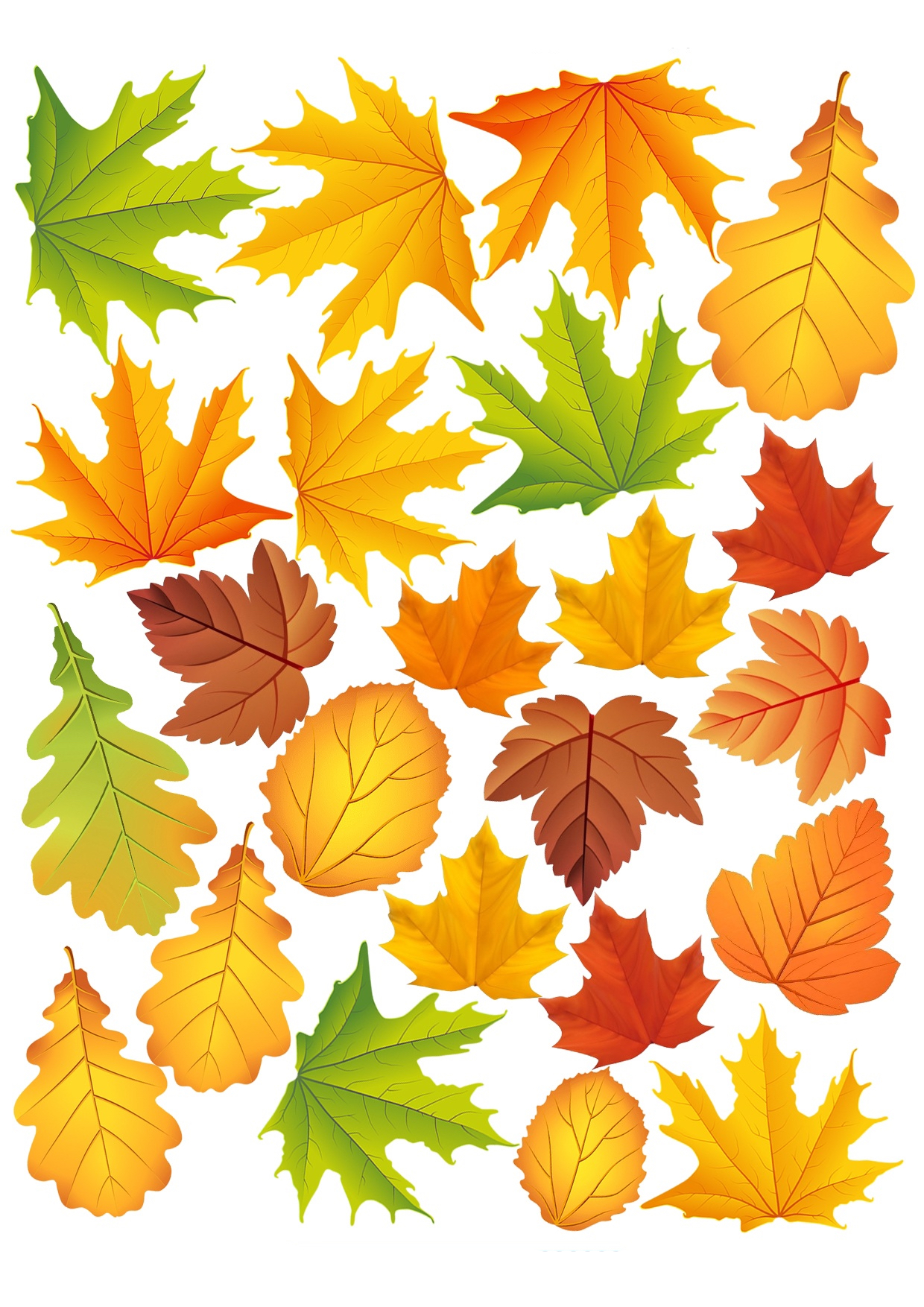 Картинка опавшие листья осенью - 54 фото