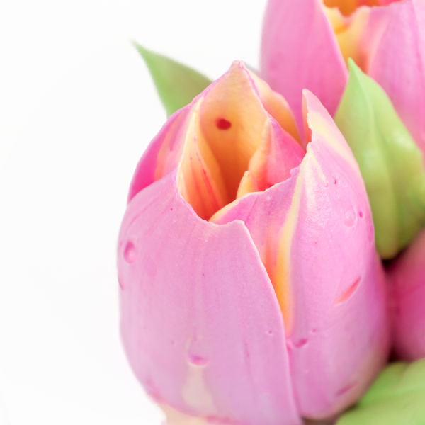 Насадка (диск) для зефирных цветов N5