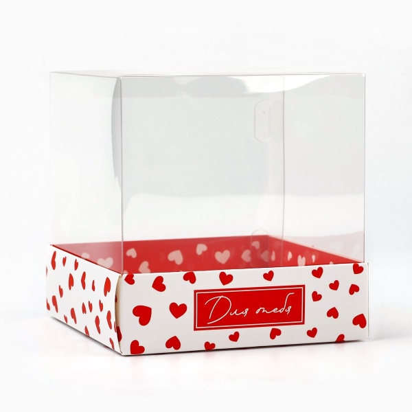 Коробка для бенто с прозрачным куполом "Для тебя", 100*100*100 см