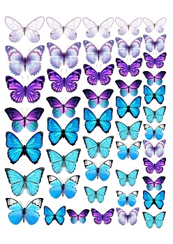 Бабочки разноцветные №6, картинка на сахарной бумаге