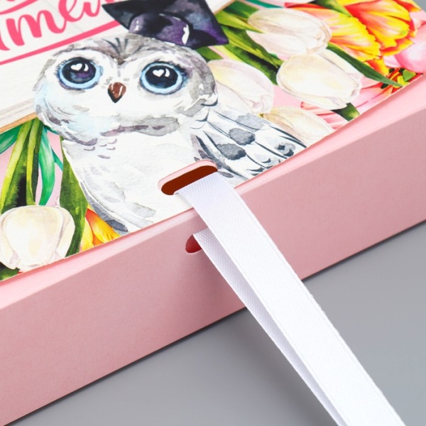 Коробка складная подарочная «Любимому учителю», сова, 200*180*50 мм