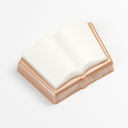 Форма пластиковая для шоколада "Книга развернутая"