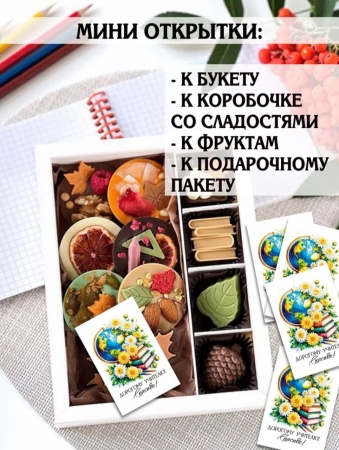 Мини-открытки "Учителю", набор 30 шт, 4,5 х 7 см