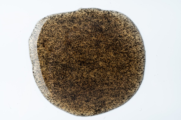 Паста ванильная Бурбон , Натива кондитер, 10 гр