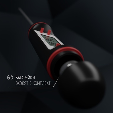 Термощуп кухонный Luazon LTR-05 (термометр игольчатый), max 300 °C, чёрный
