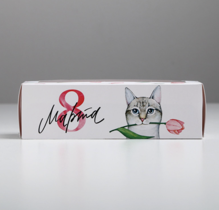 Коробка для макарон «Мартовский котик», 180*55*55 мм