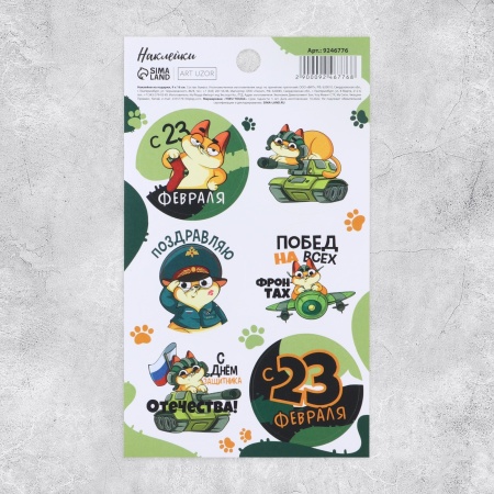 Наклейки "23 февраля" кот, 16 х 9,5 см