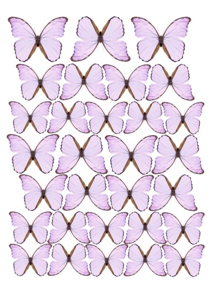 Бабочки фиолетовые №5, картинка на сахарной бумаге