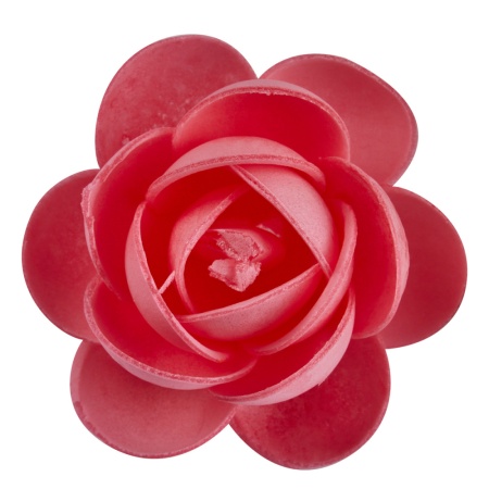 Цветы вафельные Пионы, 1 шт